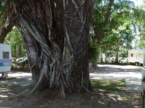 Caravanpark Port Douglas